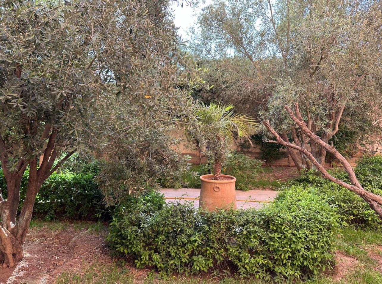 Appartamento F3 Exceptionnel A Gueliz - A 5 Min De La Gare - Piscine, Wi-fi Et Parking Au Coeur De Marrakech Marrakesh